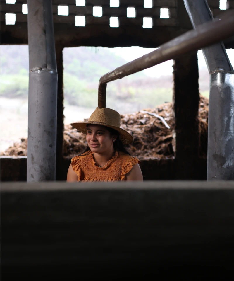 EL AGAVE: UN CORAZÓN VIVO