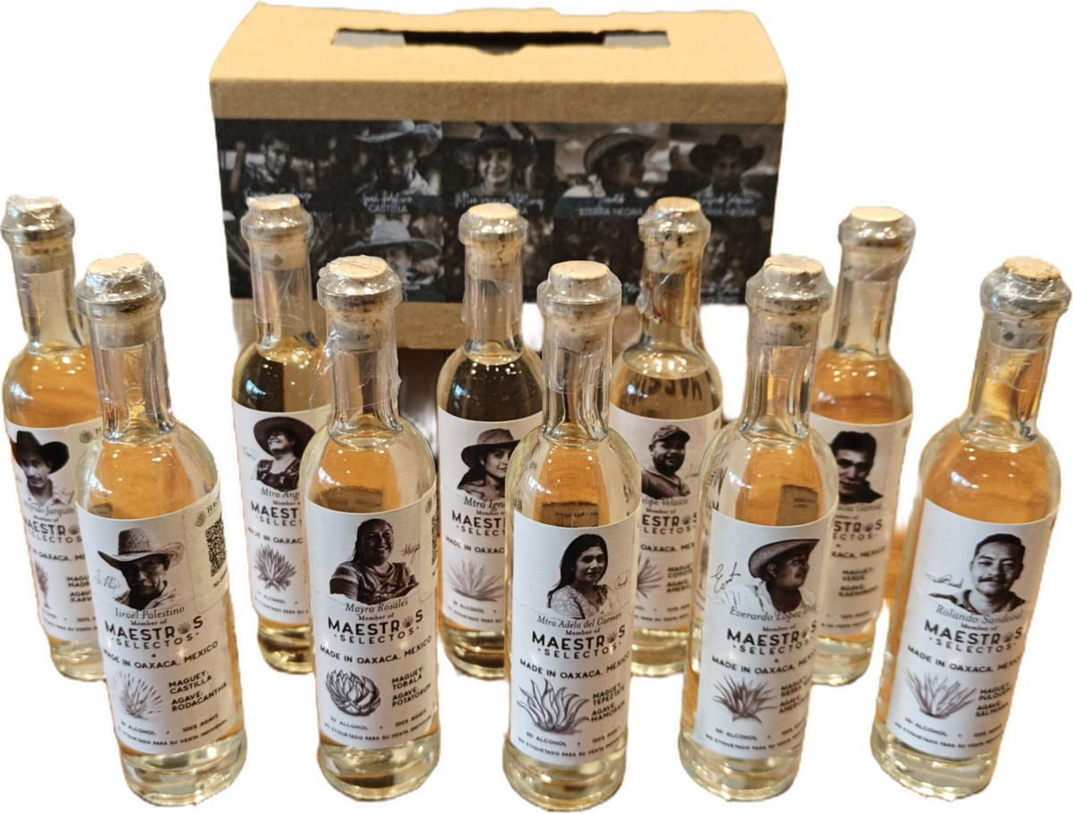 Kit 10 Botellas