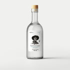 Maestro Aaron Robles