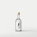 Maestro Felipe Velasco