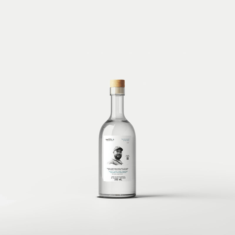 Maestro Felipe Velasco