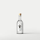 Maestro Israel Palestino