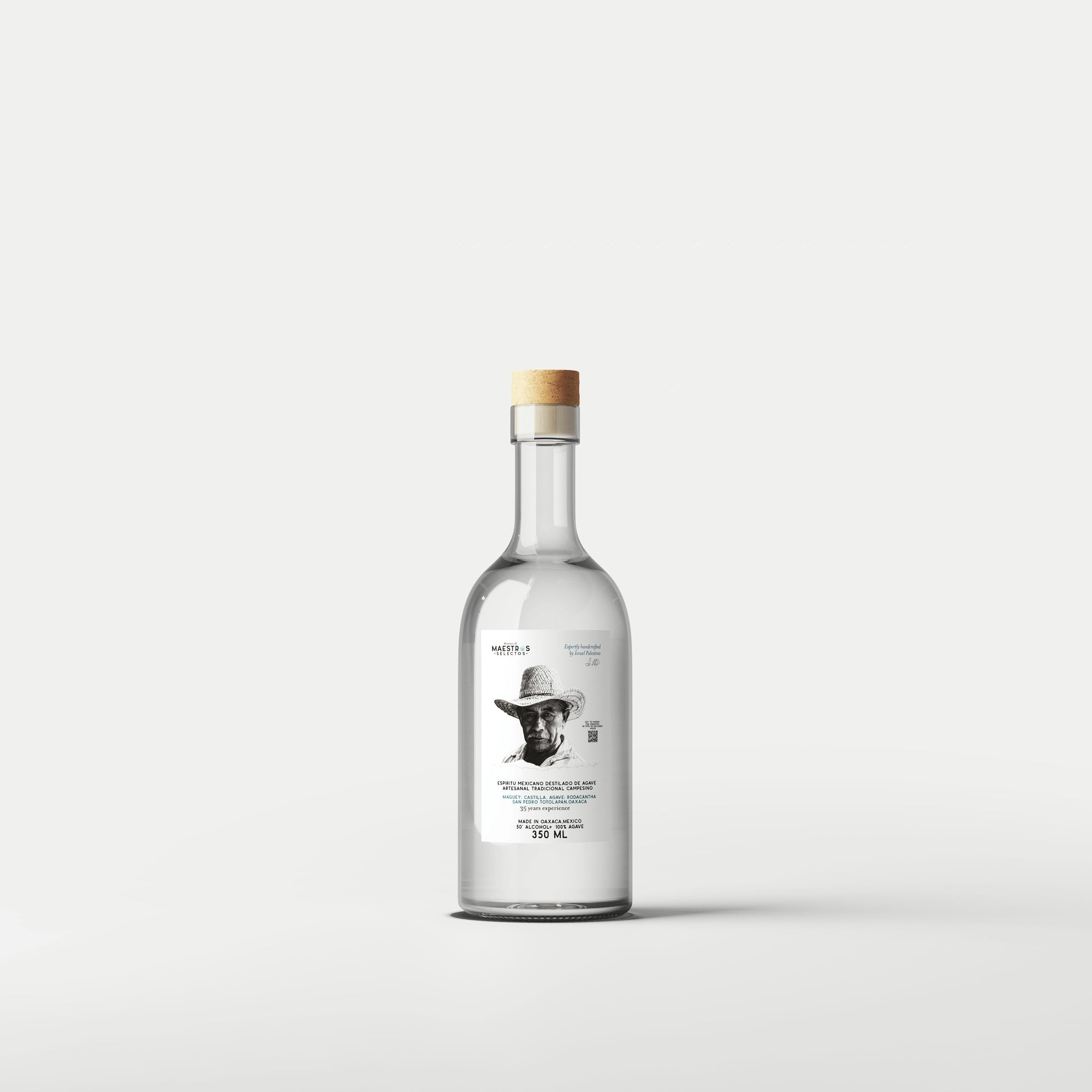 Maestro Israel Palestino