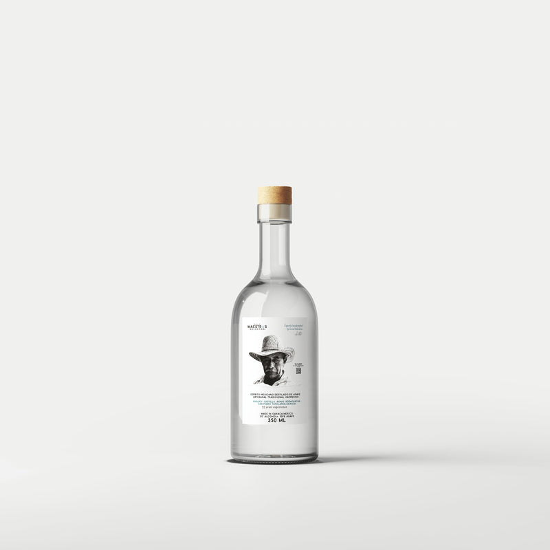 Maestro Israel Palestino