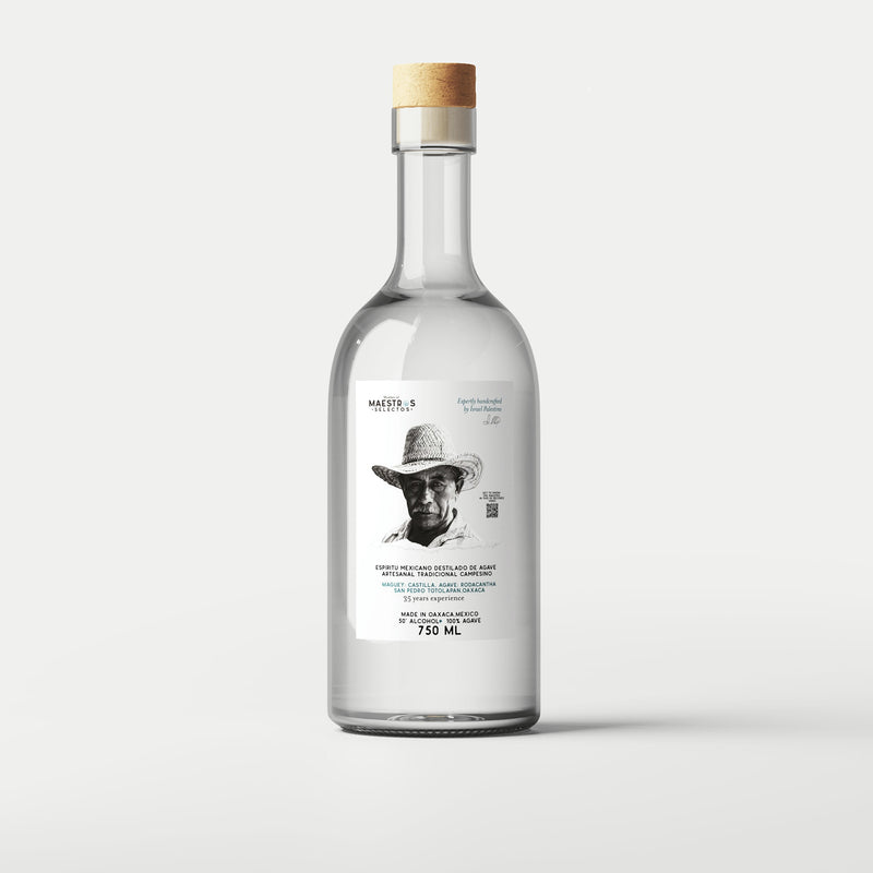 Maestro Israel Palestino