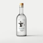 Maestro Israel Palestino