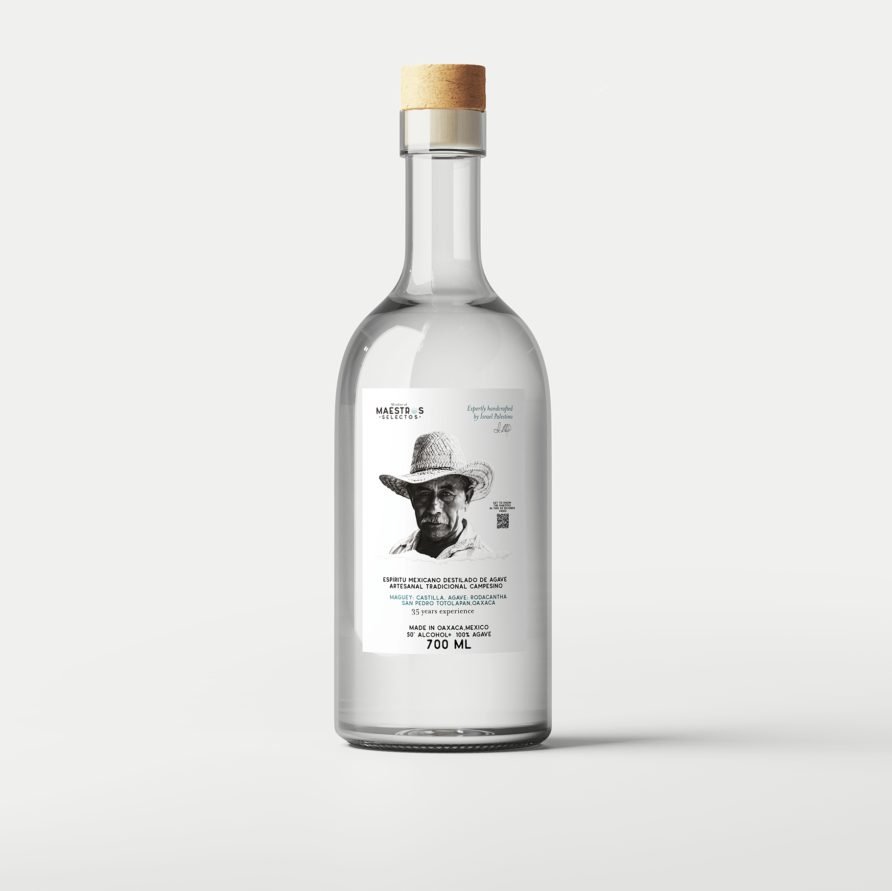 Maestro Israel Palestino