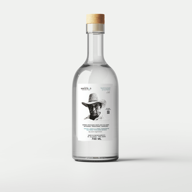 Maestro Israel Palestino