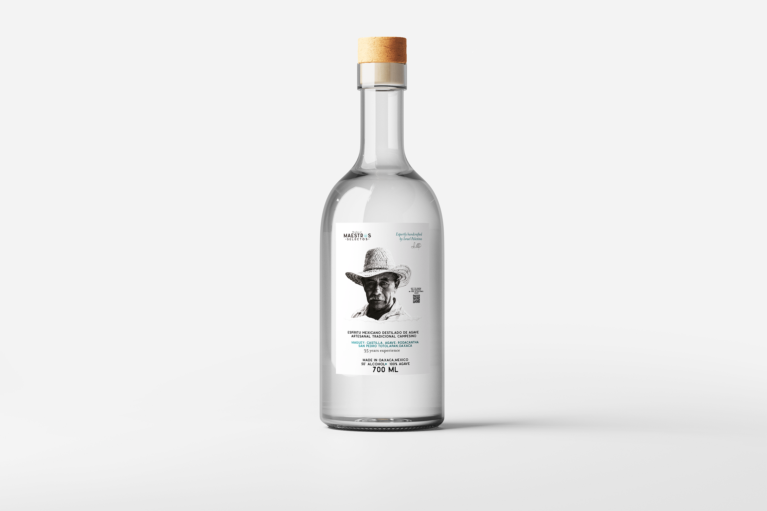 Maestro Israel Palestino