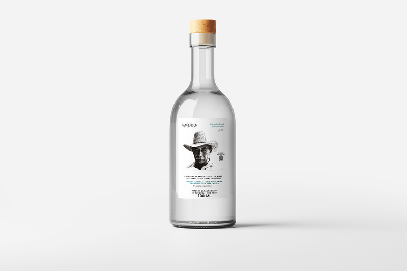 Maestro Israel Palestino