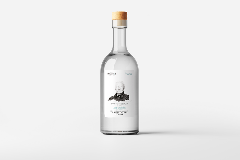 Maestro Javier Arroyo