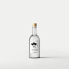 Maestro Wilfrido Jarquín